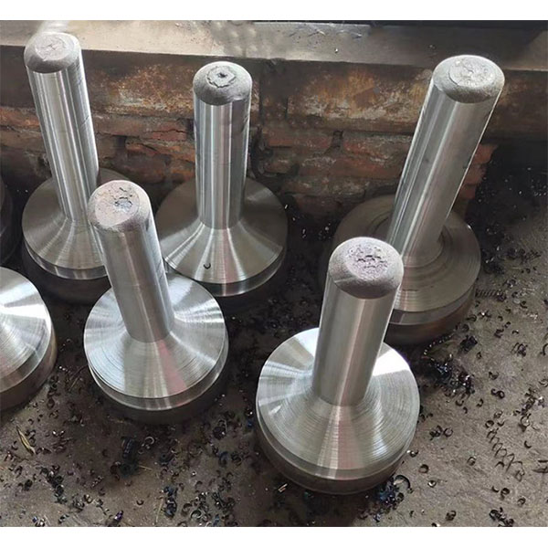 未标题-1_0009_不锈钢锻造件9